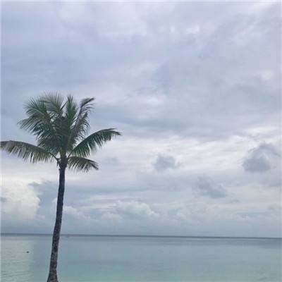 鸿图之下百度客户端下载