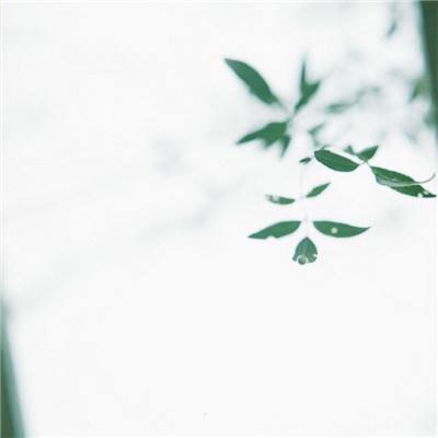 青云剑侠破解版下载