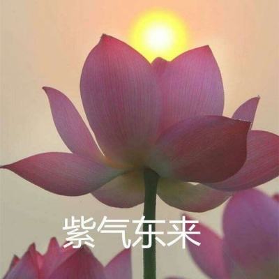 九游剑雨神途手游下载