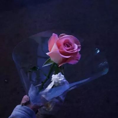永恒玛法手游下载